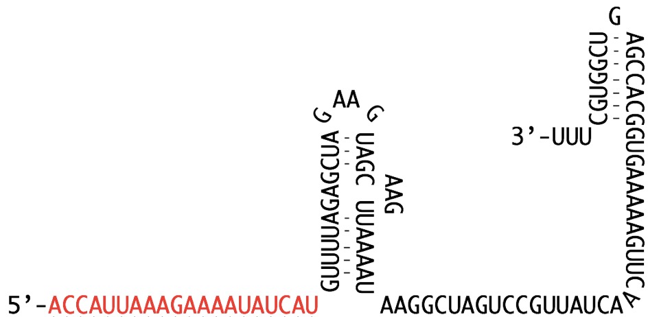 Figure. guideRNA