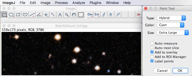 Screencap. Point tool options in ImageJ.