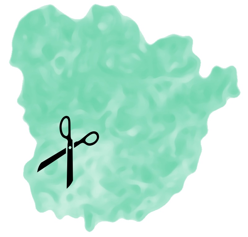 Figure. Cas9
